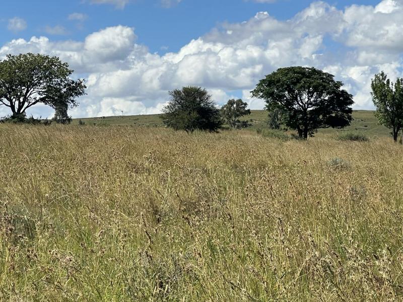 0 Bedroom Property for Sale in Lindley Free State